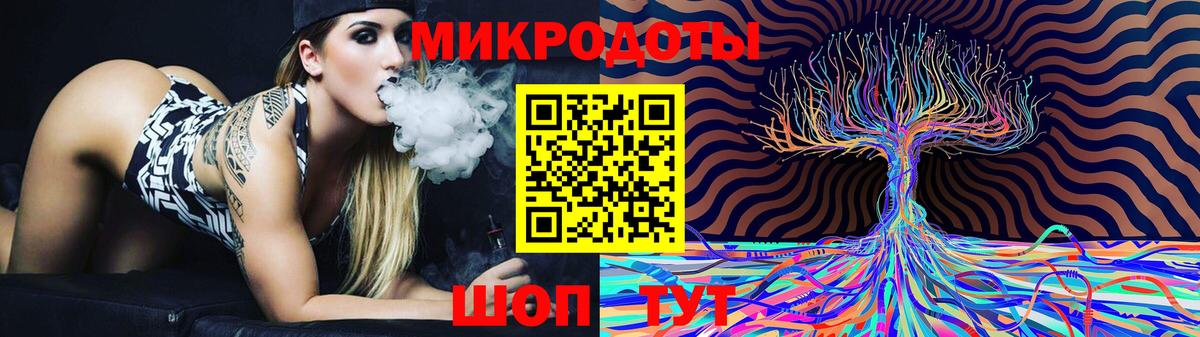 Псилоцибиновые грибы Psilocybine cubensis Лениногорск