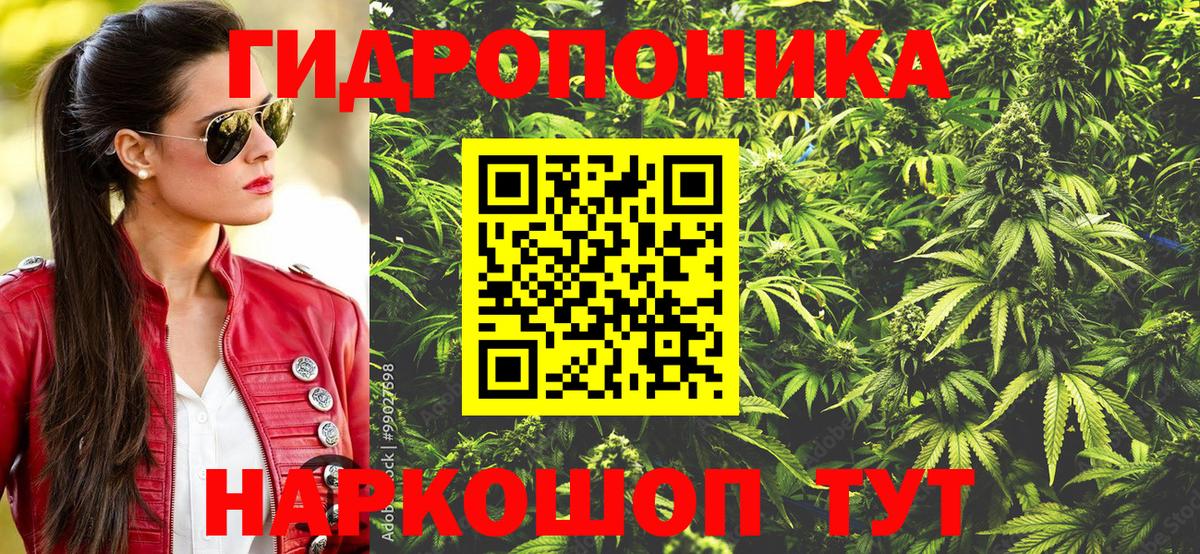 Лениногорск  Шишки марихуана VHQ  Конопля конопля  Вход с VPN  Шишки марихуана OG Kush 